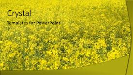  Presentation with rapeseed - Audience pleasing theme consisting of bioethanol - blooming rapeseed with blue skye backdrop and a gold colored foreground