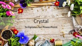  Presentation with garden tools - PPT theme enhanced with biofertilizer - garden tools flowers and seeds background and a soft green colored foreground