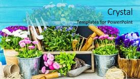  Presentation with garden tools - Slide set consisting of biofertilizer - garden tools flowers background and a cyan colored foreground