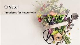  Presentation with herbal medicine - Cool new PPT theme with biohack - healthy eating and herbal medicine backdrop and a  colored foreground