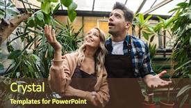  Presentation with amazing - Colorful presentation design enhanced with bioimaging - image of two excited amazing backdrop and a tawny brown colored foreground