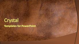  Presentation with full length portrait two men women brown sweater - Colorful PPT theme enhanced with design biologia - men's brown leather coat backdrop and a tawny brown colored foreground