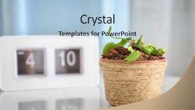  Presentation with sports table tennis two ping - Colorful theme enhanced with biological clock - dionaea muscipula in pot backdrop and a light blue colored foreground