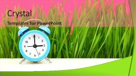  Presentation with clock - Colorful presentation theme enhanced with biological clock concept with grass backdrop and a coral colored foreground