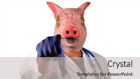 Presentation with swine flu - Slides featuring world health organization - doctor wears a pig head background and a light gray colored foreground