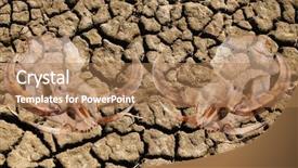  Presentation with climate change - Presentation enhanced with broken teeth - double exposure of pig skull background and a coral colored foreground