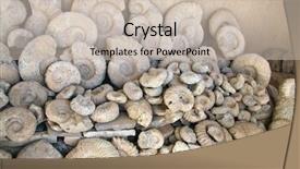  Presentation with evolution - Presentation design featuring biological evolution - traditional moroccan souvenirs - fossil background and a soft green colored foreground