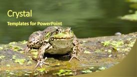  Presentation with frog - Slides with biological membrane - spotty frog sits background and a  colored foreground