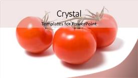  Presentation with tomato - Slides featuring biological separation - fasten tomato isolated on white background and a  colored foreground