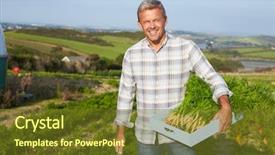  Presentation with crop - Cool new presentation design with biologie - farmer harvesting organic carrot crop backdrop and a tawny brown colored foreground