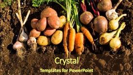  Presentation with peas - Presentation theme having biologie - harvest of fresh vegetables background and a tawny brown colored foreground