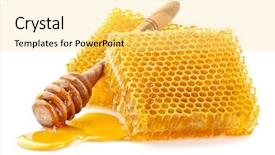  Presentation with spoon - PPT layouts consisting of biologie - honeycombs with wooden spoon background and a yellow colored foreground