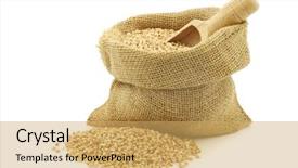  Presentation with grown - Slide set enhanced with biology - biologically grown organic buckwheat background and a yellow colored foreground