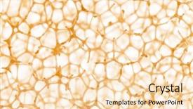  Presentation with cell biology - PPT layouts consisting of biology - cell background background and a lemonade colored foreground