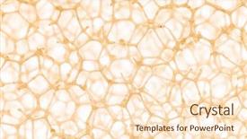  Presentation with cell biology - Theme enhanced with biology - cell background background and a cream colored foreground