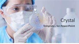  Presentation with petri dish - Colorful slide deck enhanced with biology - laboratory assistant check petri dish backdrop and a light blue colored foreground