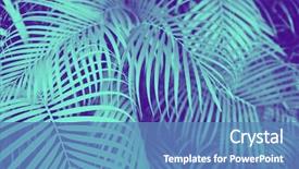  Presentation with ultra - Beautiful presentation design featuring biology - trendy design nature and background backdrop and a teal colored foreground