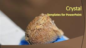  Presentation with case - Presentation theme enhanced with biology animalia - mantis nymphs are emerging background and a tawny brown colored foreground