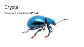  Presentation with blue - PPT layouts enhanced with finance concept enter button background and a sky blue colored foreground.