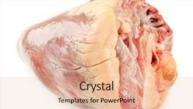  Presentation with animal - PPT theme consisting of real life pigs - raw animal heart isolated background and a  colored foreground