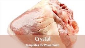  Presentation with animal pets on white - PPT theme consisting of real life pigs - raw animal heart isolated background and a  colored foreground