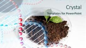  Presentation with plant structure - Beautiful slide set featuring biology ecology research and green backdrop and a sky blue colored foreground