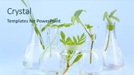  Presentation with tubes - PPT layouts having biology experiment - plants in test tubes background and a sky blue colored foreground