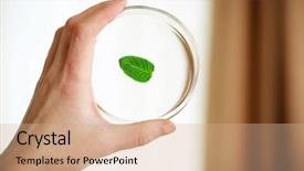  Presentation with petri dish - PPT theme having biology gen genetik - woman holding petri dish background and a coral colored foreground