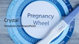  Presentation with pregnancy - PPT theme enhanced with biology hormonio - pregnancy wheel calendar and test background and a  colored foreground