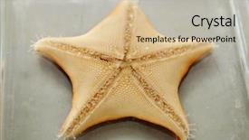  Presentation with biology - Presentation theme with biology laboratory biology and science background and a soft green colored foreground