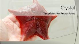  Presentation with biology - Slides consisting of biology laboratory biology and science background and a light gray colored foreground