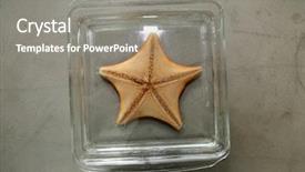  Presentation with biology - Cool new presentation theme with biology laboratory biology and science backdrop and a gray colored foreground