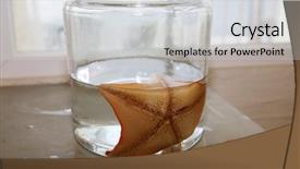  Presentation with biology - Theme consisting of biology laboratory biology and science background and a light gray colored foreground