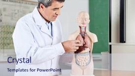  Presentation with biology lung - Amazing slides having biology lung - mature male professor analyzing anatomical backdrop and a  colored foreground