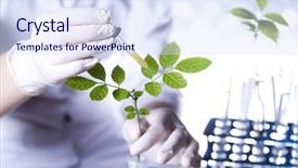  Presentation with plant biology - Presentation design featuring biology plant - laboratory pipette background and a  colored foreground