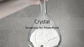  Presentation with biology - PPT layouts having biology research and experiment mixed media background and a light gray colored foreground