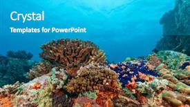  Presentation with swimming beautiful girl swims underwater - Audience pleasing slide set consisting of biology seaweed - beautiful underwater colored coral reef backdrop and a teal colored foreground