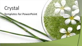  Presentation with green bamboo on green - PPT theme with biology seaweed - bowl of frangipanis and green background and a white colored foreground