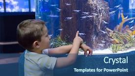  Presentation with biology seaweed - PPT theme with biology seaweed - cute boy looking at fish background and a ocean colored foreground