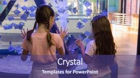  Presentation with biology seaweed - Audience pleasing slide deck consisting of biology seaweed - cute children looking at fish backdrop and a violet colored foreground