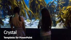  Presentation with biology seaweed - Presentation theme enhanced with biology seaweed - cute children looking at fish background and a black colored foreground