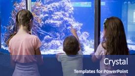  Presentation with fish aquarium - Slide deck having biology seaweed - cute children looking at fish background and a ocean colored foreground