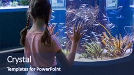  Presentation with fish aquarium - Presentation design enhanced with biology seaweed - cute girl looking at fish background and a navy blue colored foreground