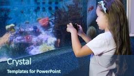  Presentation with fish aquarium - Cool new slide deck with biology seaweed - cute girl looking at fish backdrop and a ocean colored foreground