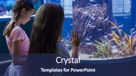  Presentation with fish aquarium - Slide set featuring biology seaweed - cute girls looking at fish background and a ocean colored foreground