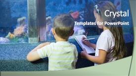  Presentation with fish aquarium - Slide set having biology seaweed - cute siblings looking at fish background and a ocean colored foreground