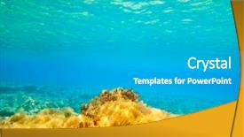  Presentation with biology seaweed - Colorful theme enhanced with biology seaweed - ibiza formentera underwater anemone seascape backdrop and a light gray colored foreground