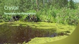  Presentation with lake - Presentation having biology seaweed - lake coated by duckweed background and a tawny brown colored foreground