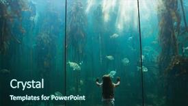  Presentation with fish aquarium - PPT theme featuring biology seaweed - little girl looking at fish background and a ocean colored foreground
