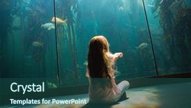  Presentation with fish aquarium - Colorful PPT theme enhanced with biology seaweed - little girl looking at fish backdrop and a ocean colored foreground